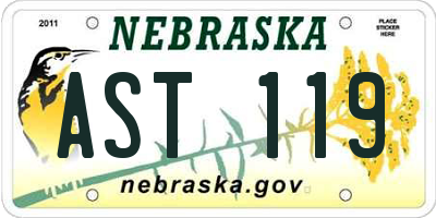 NE license plate AST119