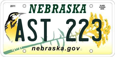 NE license plate AST223