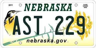 NE license plate AST229
