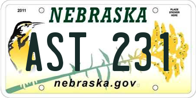 NE license plate AST231