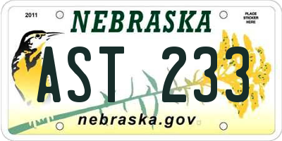 NE license plate AST233