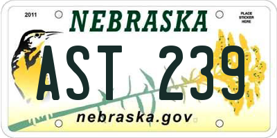 NE license plate AST239