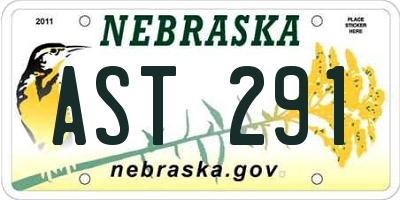 NE license plate AST291