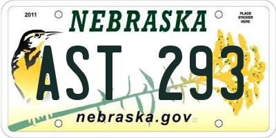 NE license plate AST293