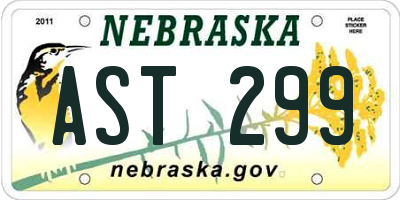 NE license plate AST299
