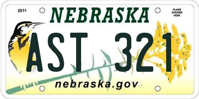 NE license plate AST321