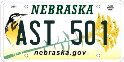 NE license plate AST501