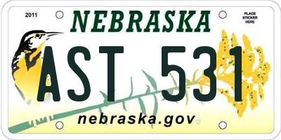 NE license plate AST531