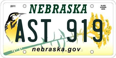 NE license plate AST919