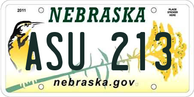 NE license plate ASU213
