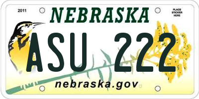 NE license plate ASU222