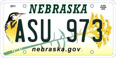 NE license plate ASU973