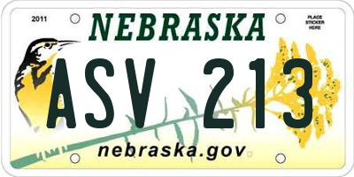 NE license plate ASV213