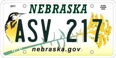 NE license plate ASV217