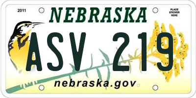 NE license plate ASV219
