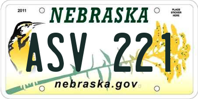 NE license plate ASV221