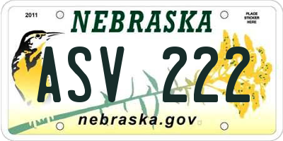NE license plate ASV222