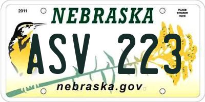 NE license plate ASV223
