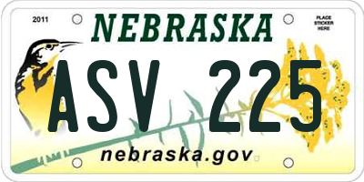 NE license plate ASV225