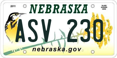 NE license plate ASV230