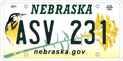 NE license plate ASV231