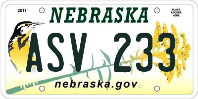 NE license plate ASV233