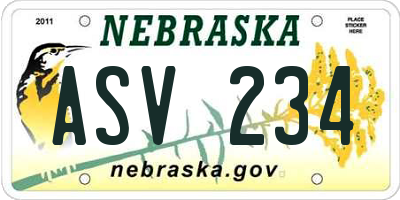 NE license plate ASV234