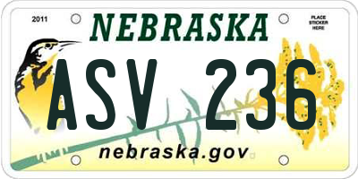 NE license plate ASV236