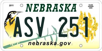 NE license plate ASV251