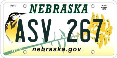 NE license plate ASV267