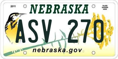 NE license plate ASV270