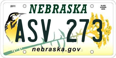 NE license plate ASV273