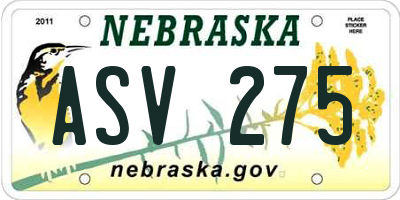 NE license plate ASV275