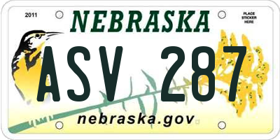 NE license plate ASV287