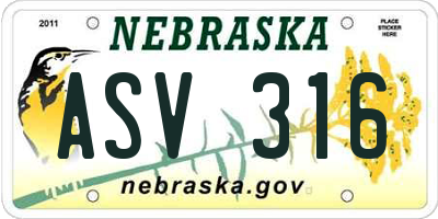 NE license plate ASV316