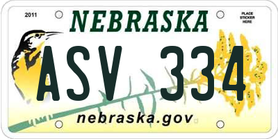 NE license plate ASV334
