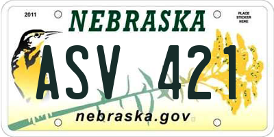NE license plate ASV421