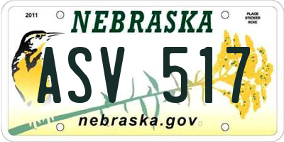 NE license plate ASV517