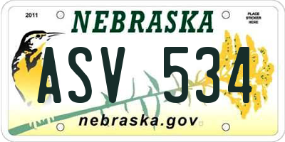 NE license plate ASV534