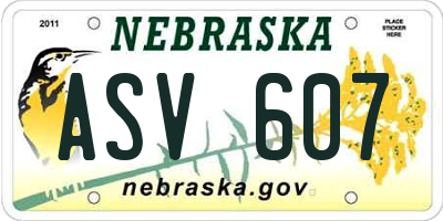 NE license plate ASV607