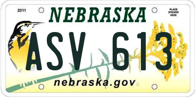NE license plate ASV613