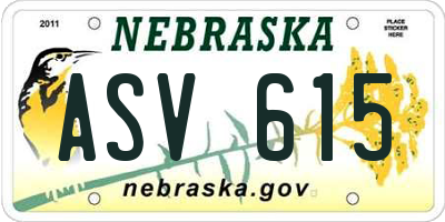 NE license plate ASV615