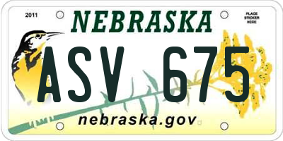 NE license plate ASV675