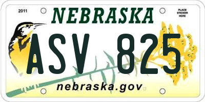 NE license plate ASV825