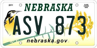 NE license plate ASV873