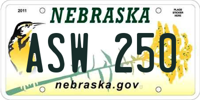 NE license plate ASW250
