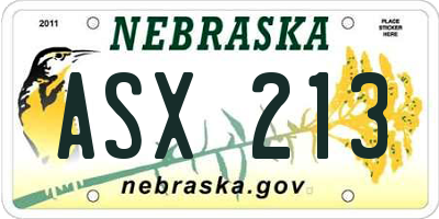 NE license plate ASX213