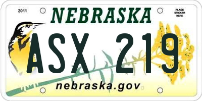 NE license plate ASX219