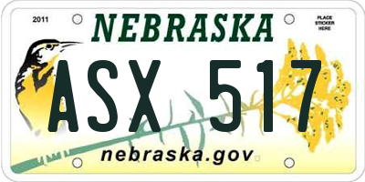 NE license plate ASX517