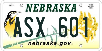 NE license plate ASX601